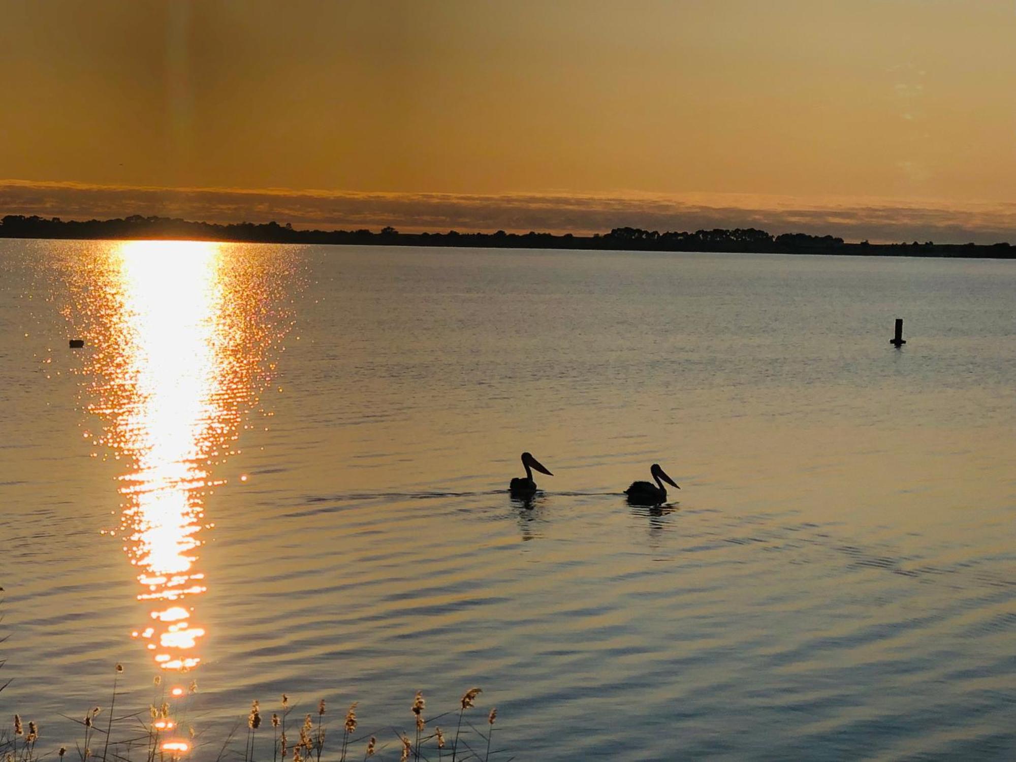 Lake Boga Caravan Park Exteriör bild