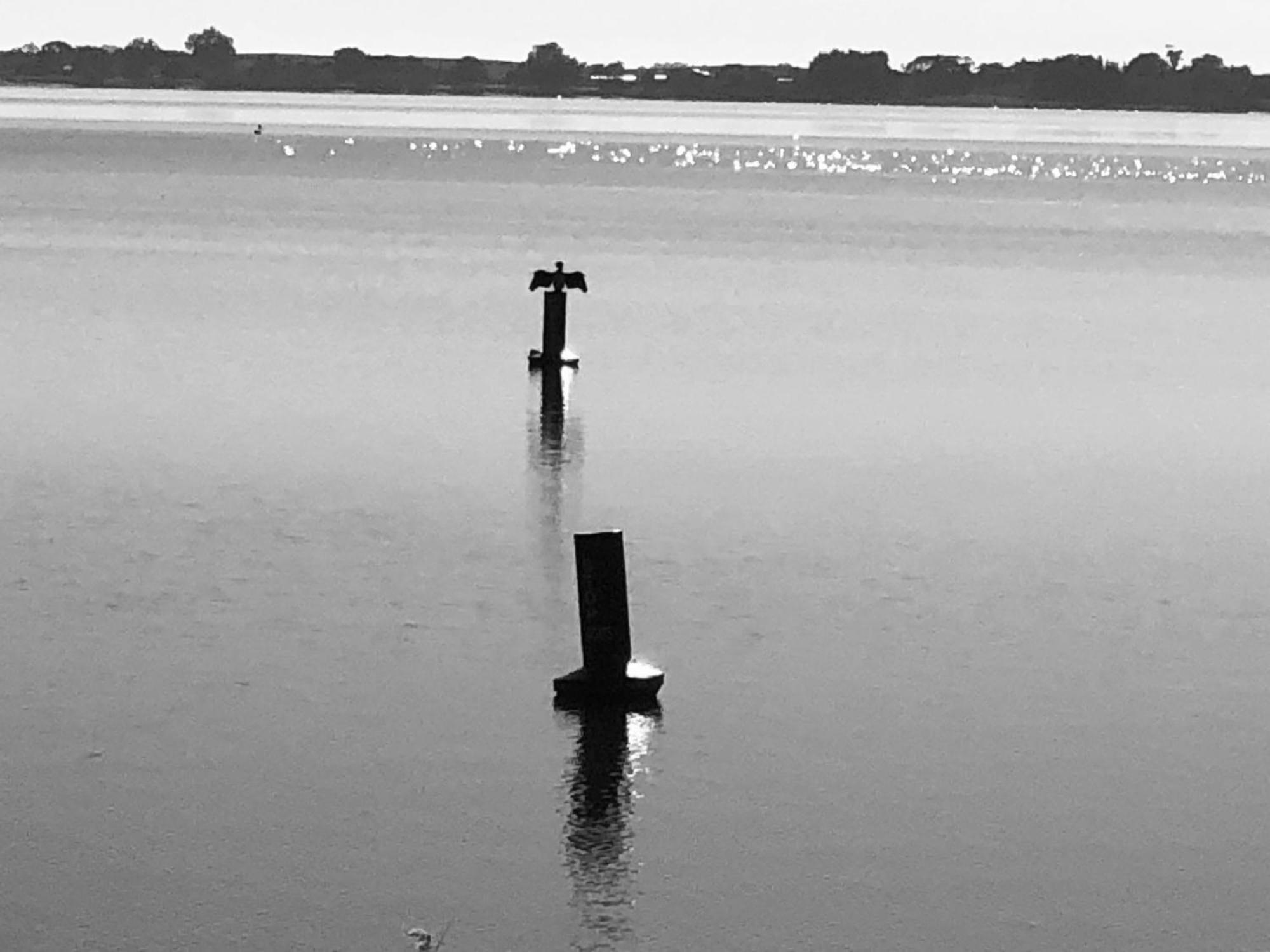 Lake Boga Caravan Park Exteriör bild